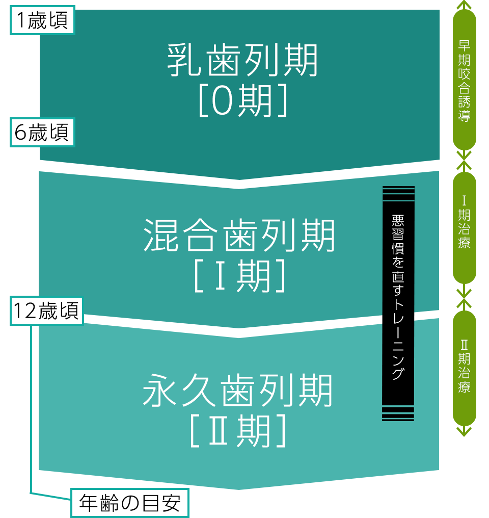 歯列矯正の期間｜野田市のいちファミリー歯科医院